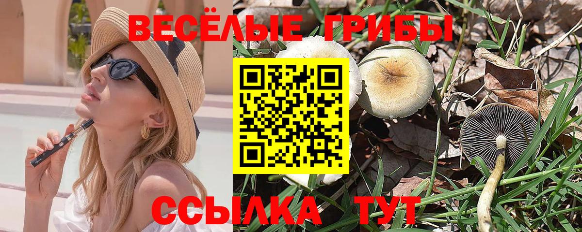 Галлюциногенные грибы Cubensis Кимры