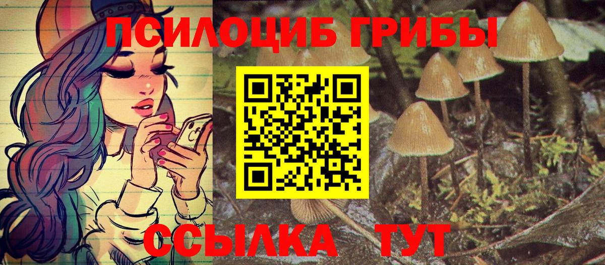 Кимры  Псилоцибиновые грибы ЛСД  Галлюциногенные грибы Cubensis  Вход с VPN 