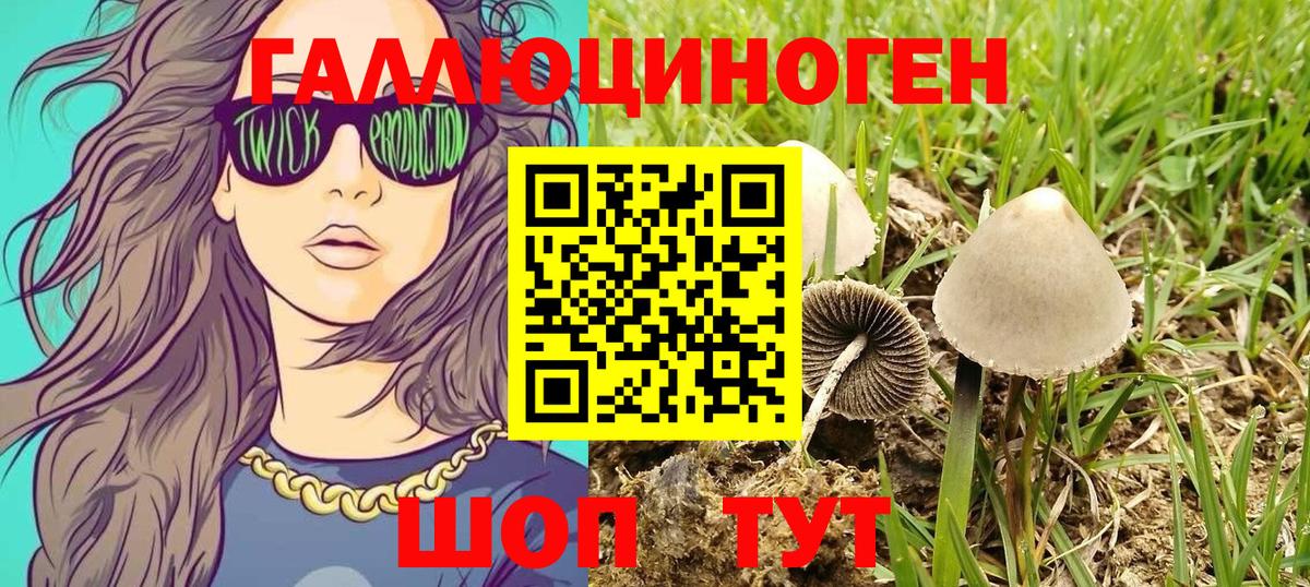Меф мяу мяу Кимры